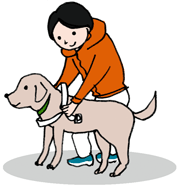 イメージ：盲導犬とユーザー