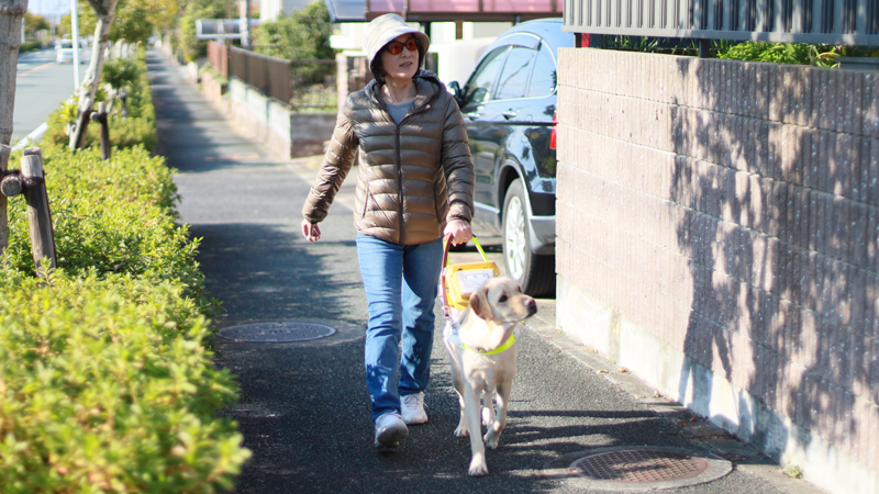 イメージ：盲導犬の協同歩行