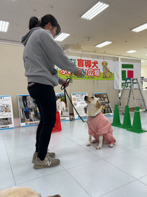 フジグラン山口盲導犬ふれあい広場1