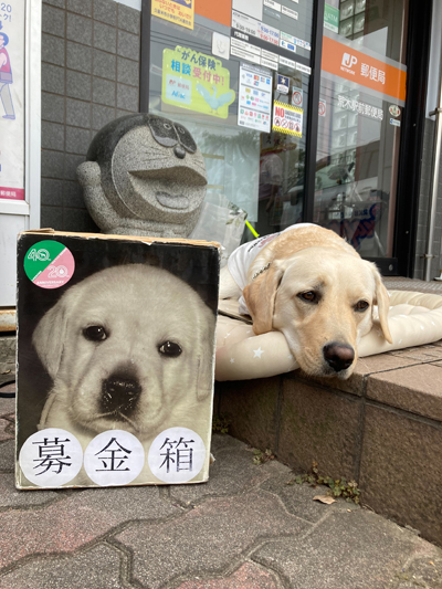 新着情報 最新お知らせニュース｜九州盲導犬協会