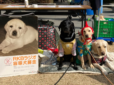 RKB福岡百道浜ドッグフェスタ2025