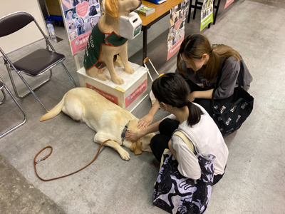 コミックシティ福岡62