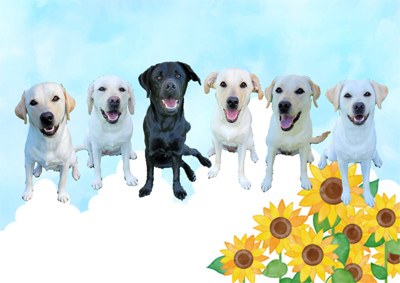 パピーウォーカー課程修了