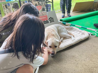 北九州動物愛護デー