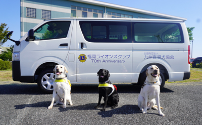 5頭の子犬を委託