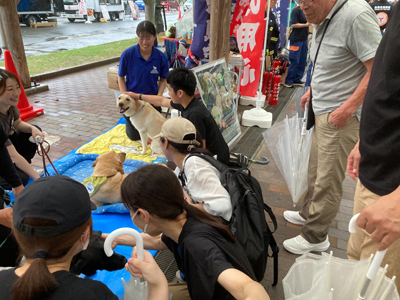 糸島市民まつり2